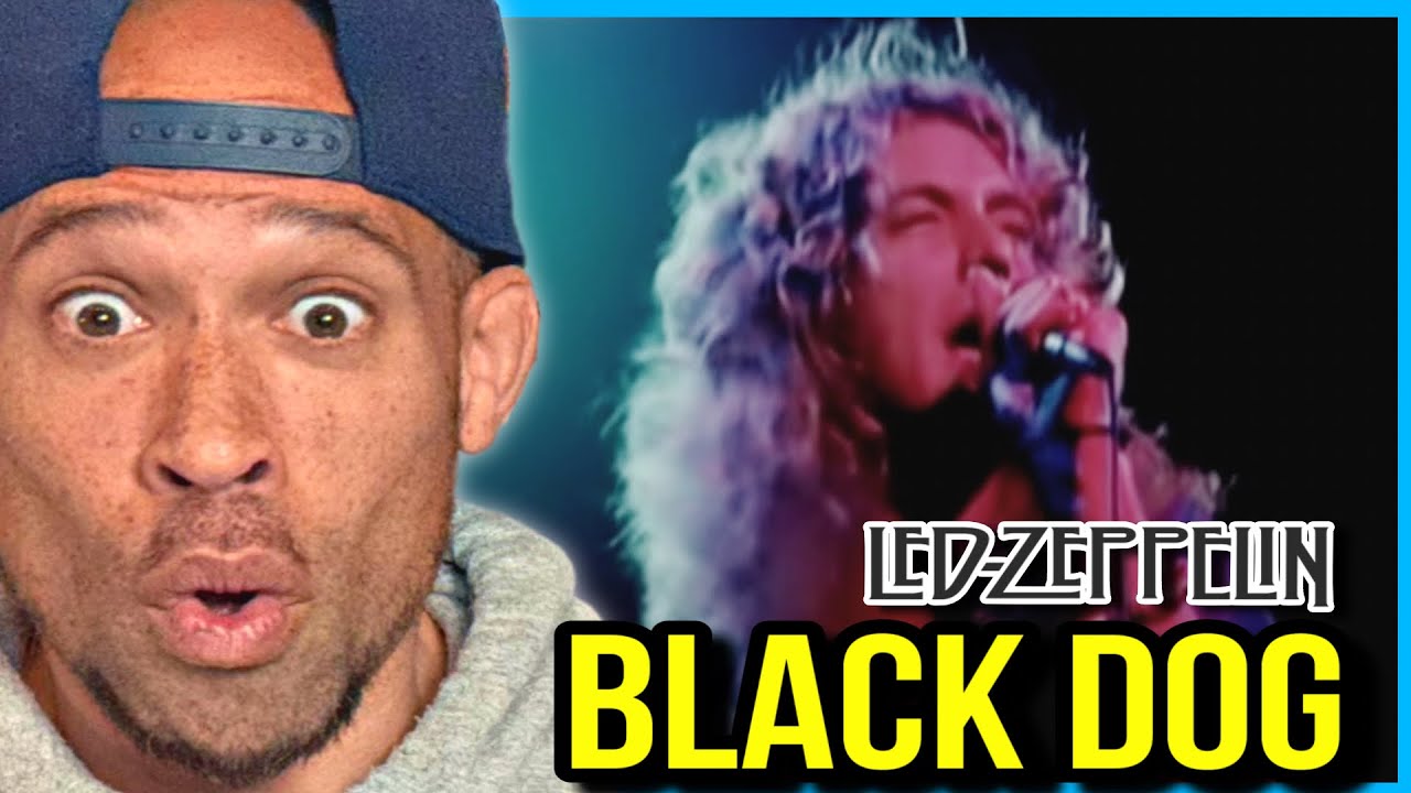 Rapper FIRST time REACTION to Led Zeppelin - Black Dog! Controlled chaos