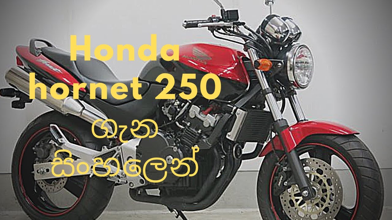 Honda hornet 250 Full Review in Sinhala | Sri lanka | Ch 115