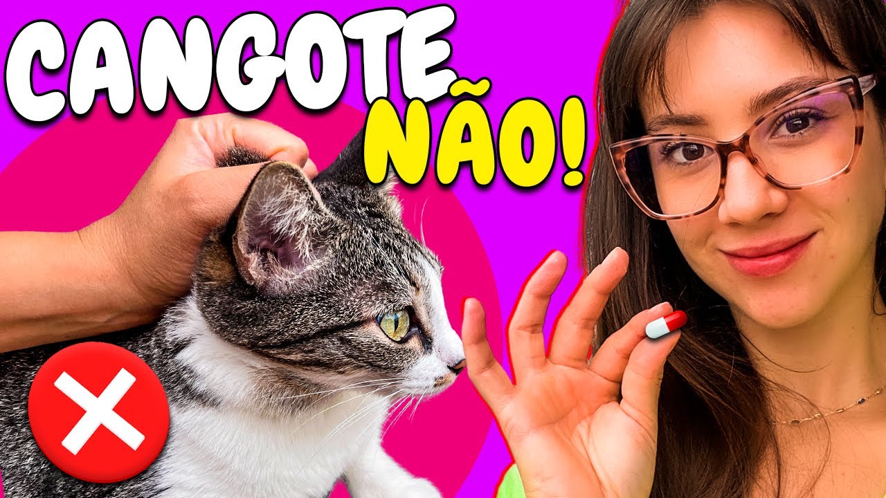 Como dar Remédio para Gatos! Jeito FÁCIL e SEM ESTRESSE!