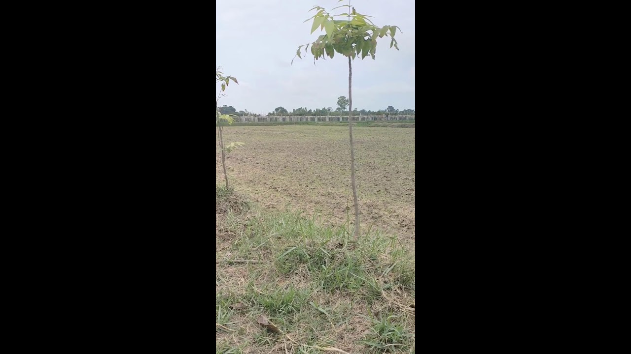 HillsSorg Videos #88