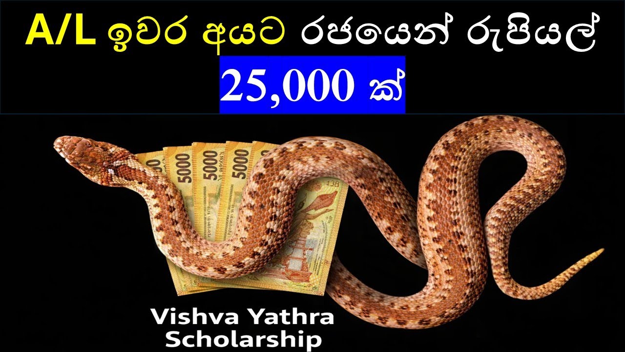 උසස්පෙළ සමත් හැමෝටම රජයෙන් රුපියල් 25,000.00 ක් : Government Scholarships for students