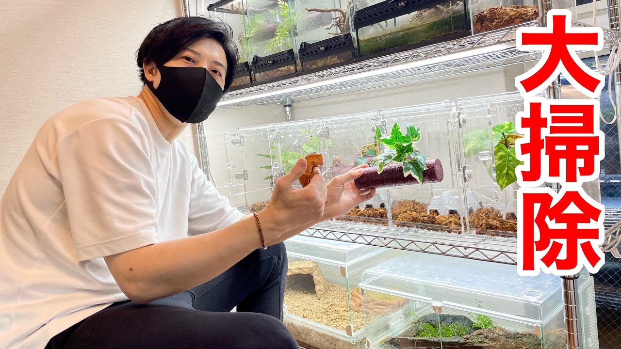 年末大掃除しながら全部見せます。
