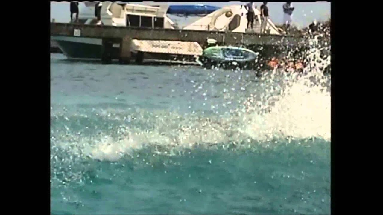 Dolphin Swim