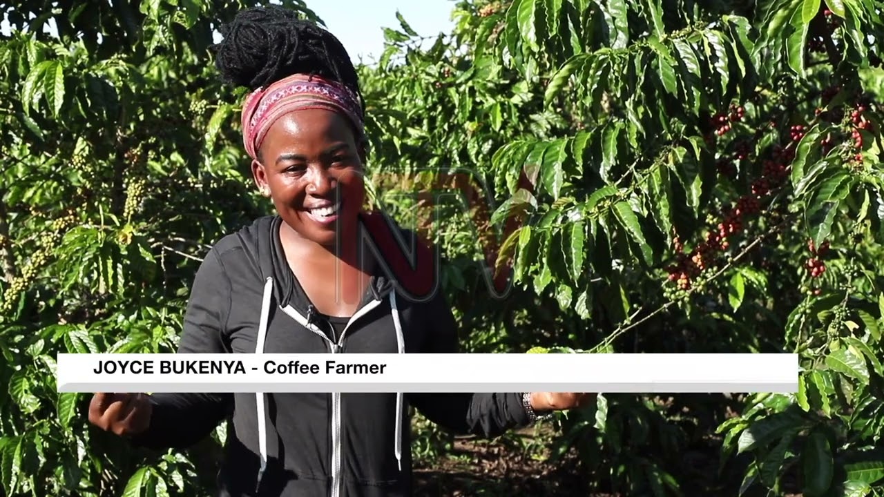 Joyce Bukenya turns passion for coffee into successful farming venture