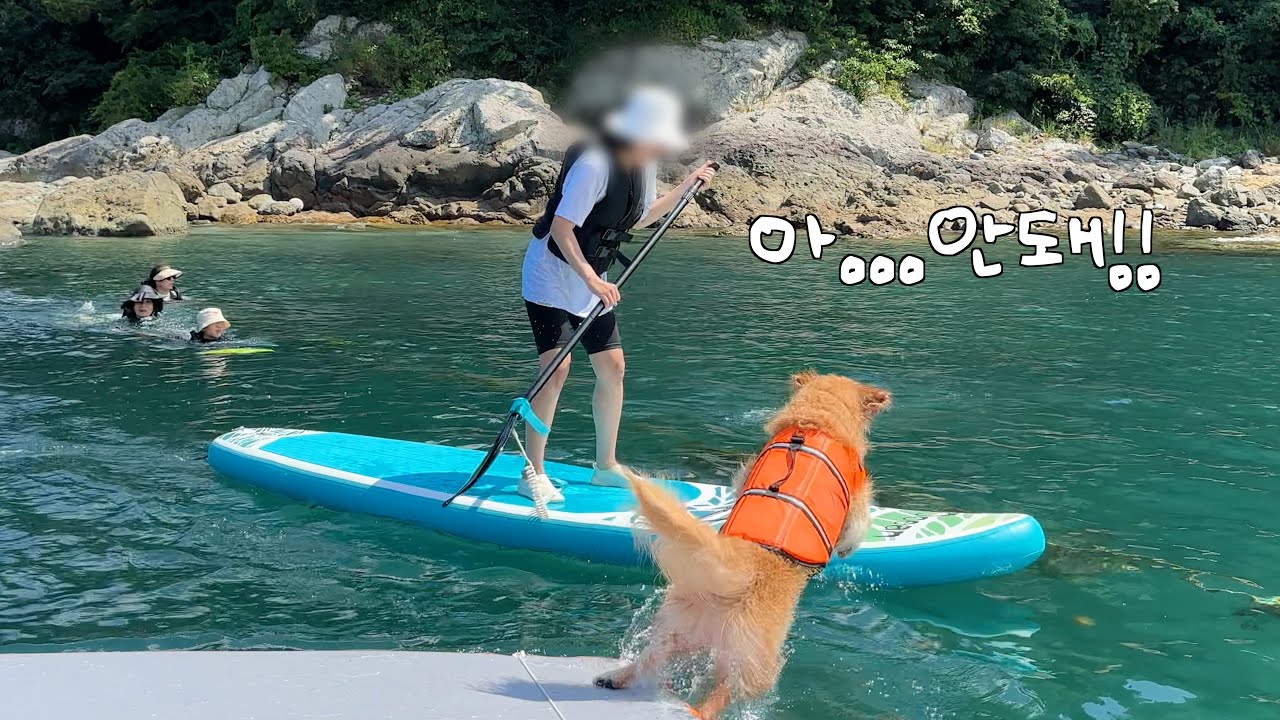 엄마 위험한거 못 보는 효견이 불효 이슈 터진 이유 ㅋㅋㅋ