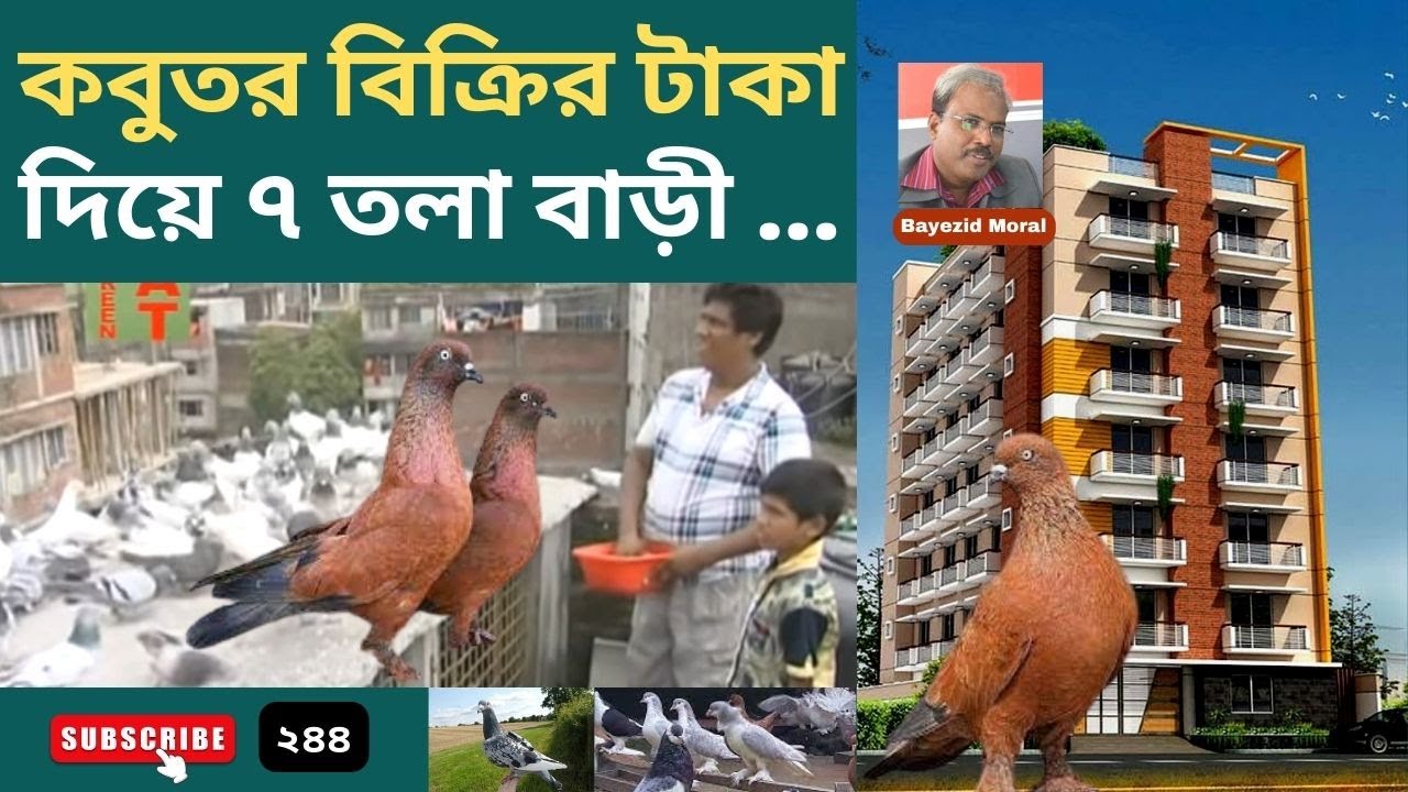 নারায়নগঞ্জের ১টি কবুতর খামারে ২০ জন কর্মচারী | কবুতর বিক্রি করে ৭তলা বাড়ী করেছে | Pigeon farm