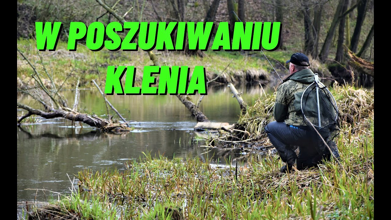 wiosenne KLENIE z MAŁEJ RZECZKI i stejki z ognia/ odc. 116