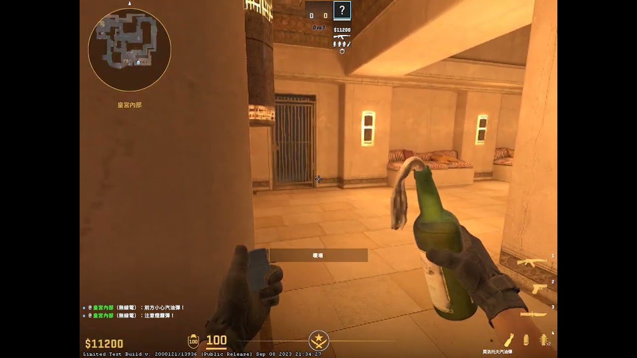[CS2] Mirage molly under palace from palace while getting smoked out