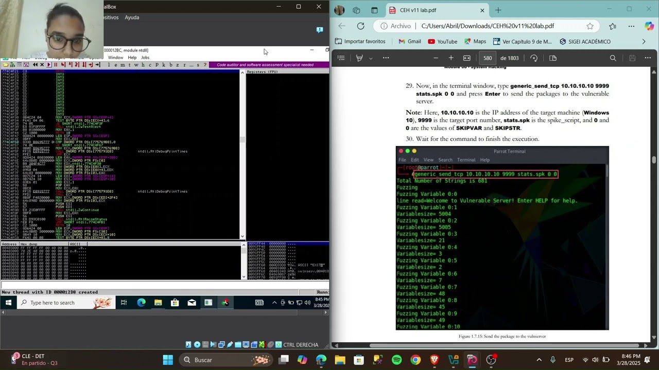 1.7: Perform Buffer Overflow Attack to Gain Access to a Remote System