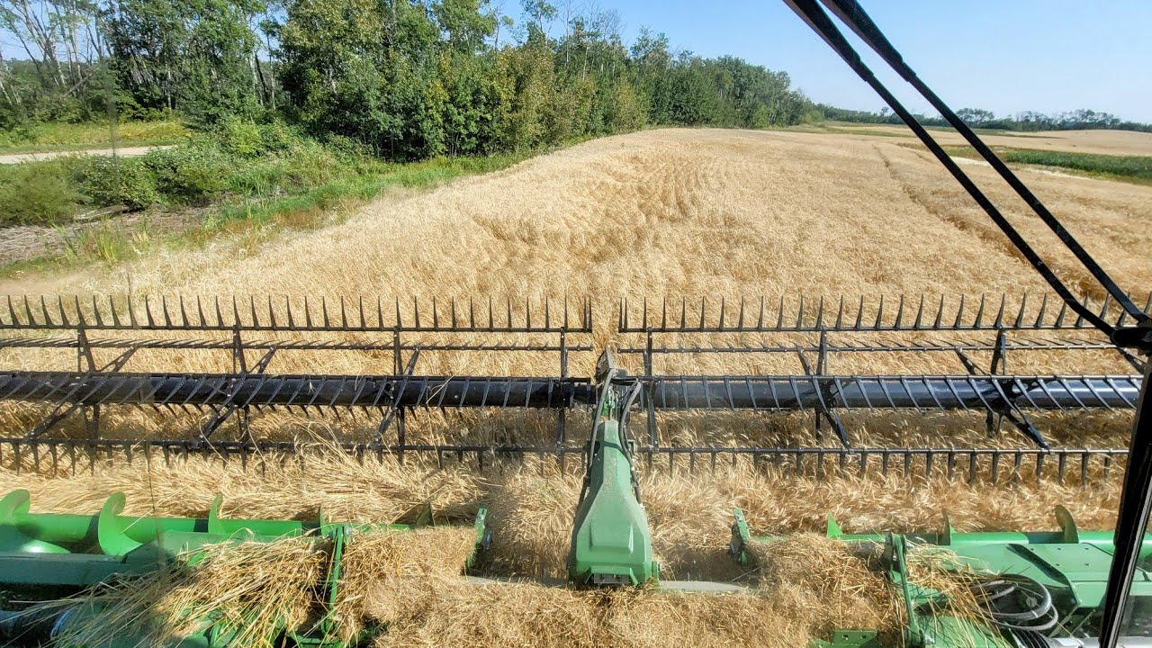 50ft header time! 😉