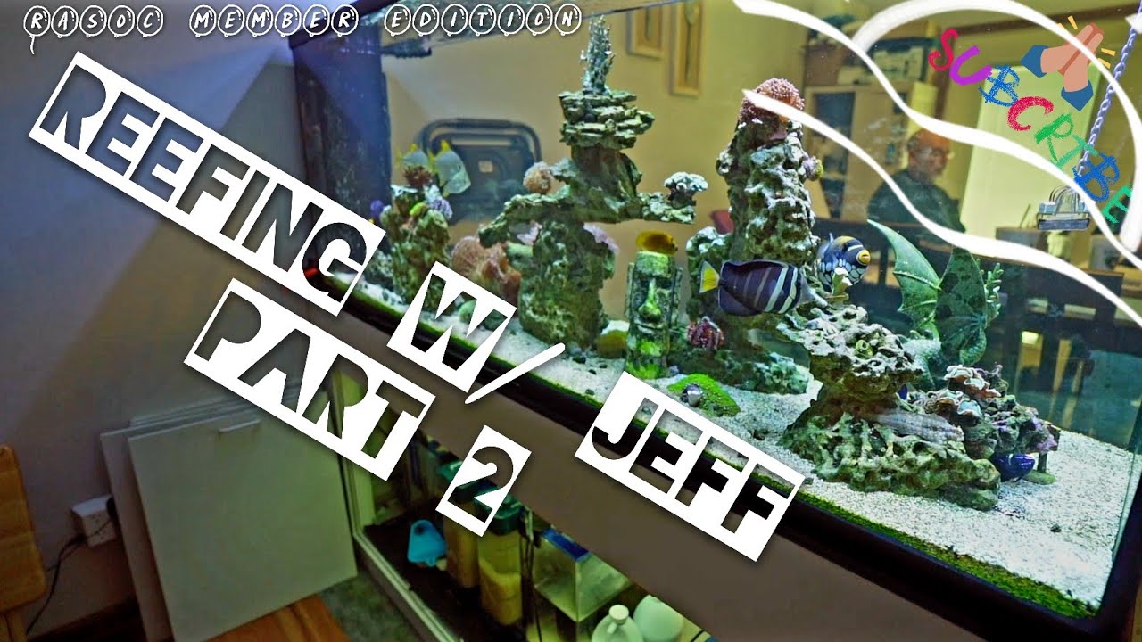 Reef Tank Tour - RASOC Member Edition - Jeff's @PLANET AQUARIUMS  Peninsula Reef Tank Aquarium