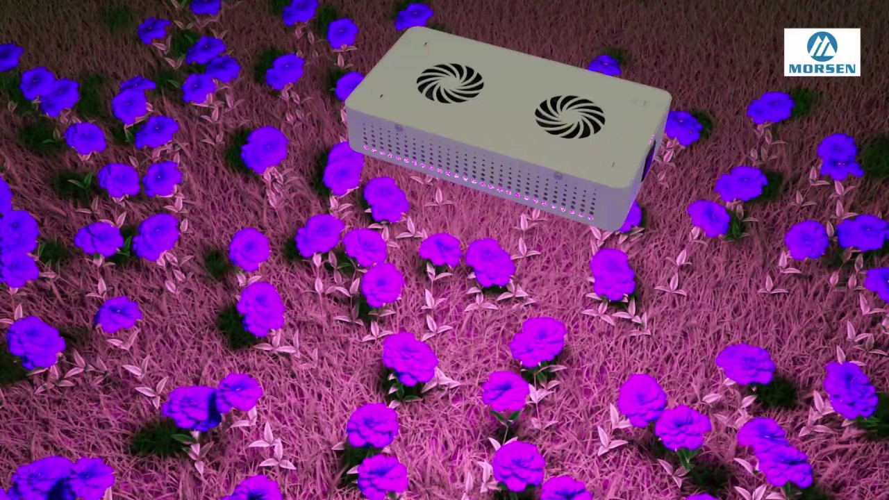 Morsen T series Grow Light (Daisy Chain)
