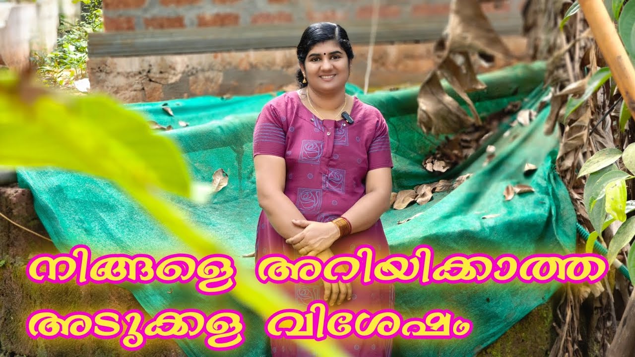 വീട് പോരാ അടുക്കള പോരാ സൗകര്യങ്ങൾ പോരാന്ന് നിങ്ങൾക്ക് തോന്നുന്നുണ്ടോ😍🙏🥰🙏👌🥰🥰🥰🙏