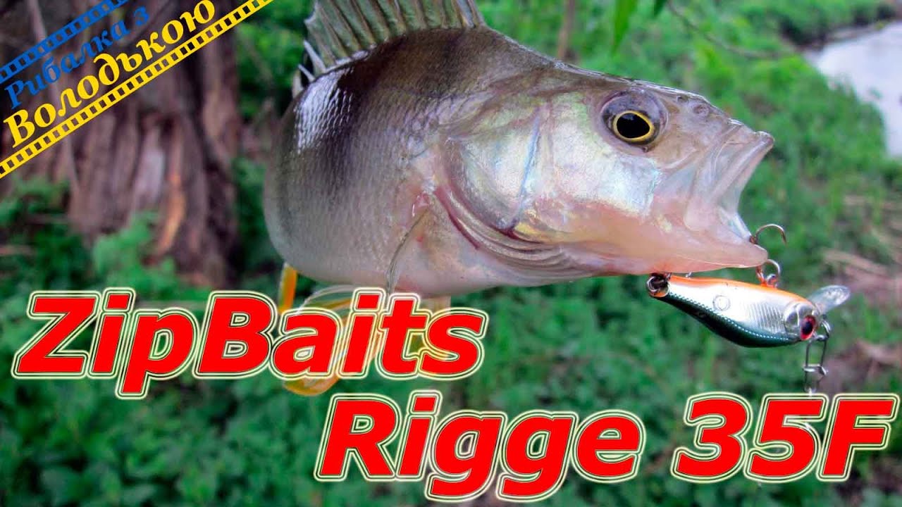 ZipBaits Rigge 35F мой любимый ультралайтовый воблер! Обзор японского воблера Зип Бейтс Ридж 35