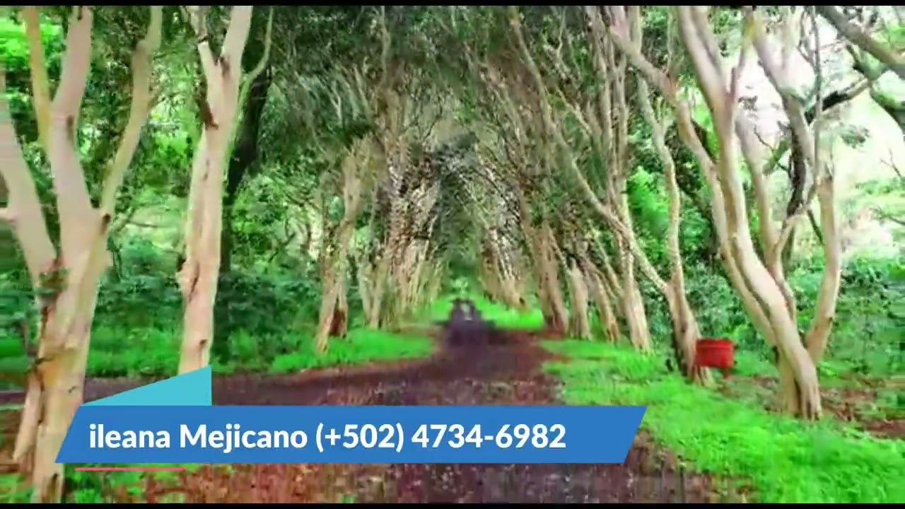 Terrenos en Villa Canales - Guatemala