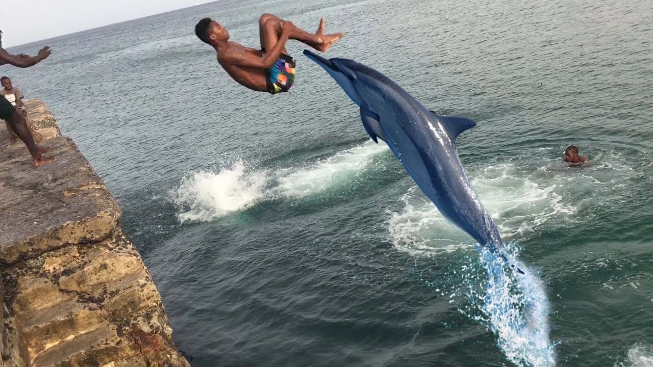 INCROYABLE SA C PASSE A GOREE