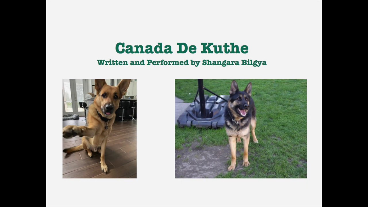 Canada De Kuthe- Punjabi Poetry- Comedy Hasrass