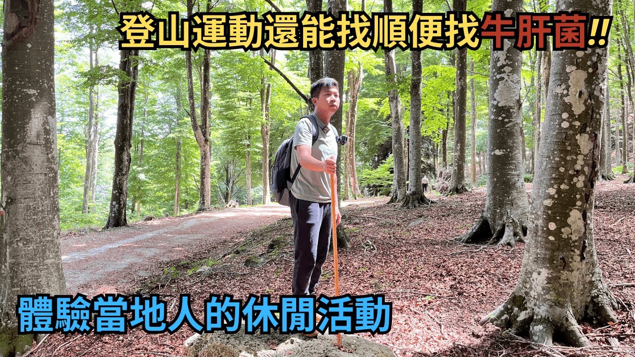 在義大利登山🏔️順便採蘑菇竟然是當地人的休閒活動!? | 幸運的話還能找到牛肝菌🍄 | 路邊的蘑菇不要亂採!!.(CC字幕)