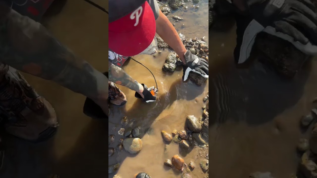 Insane silver spill! #metaldetecting #minelab #silvercoins #silverring #youtubeshorts