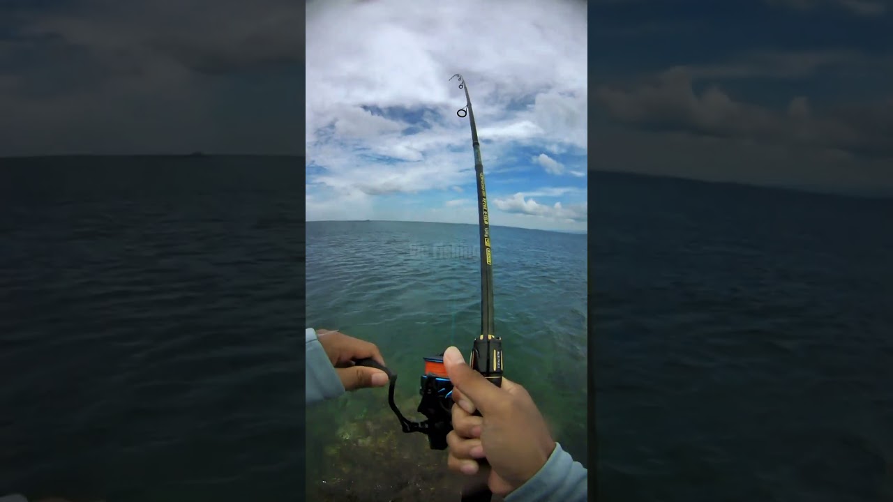 microjigging