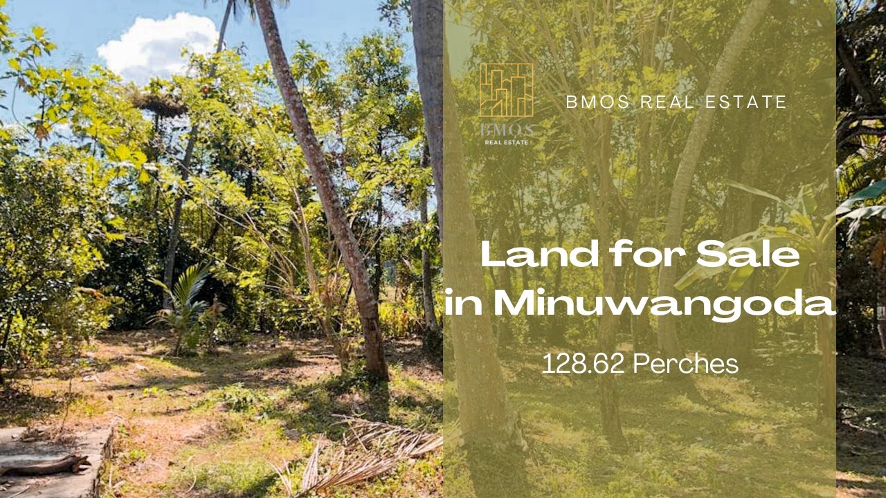 BARE LAND FOR SALE AT MINUWANGODA