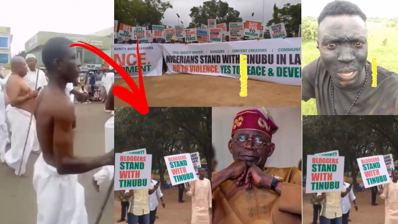 Say No To Protest!! The Nigeria protesters protesting against protest