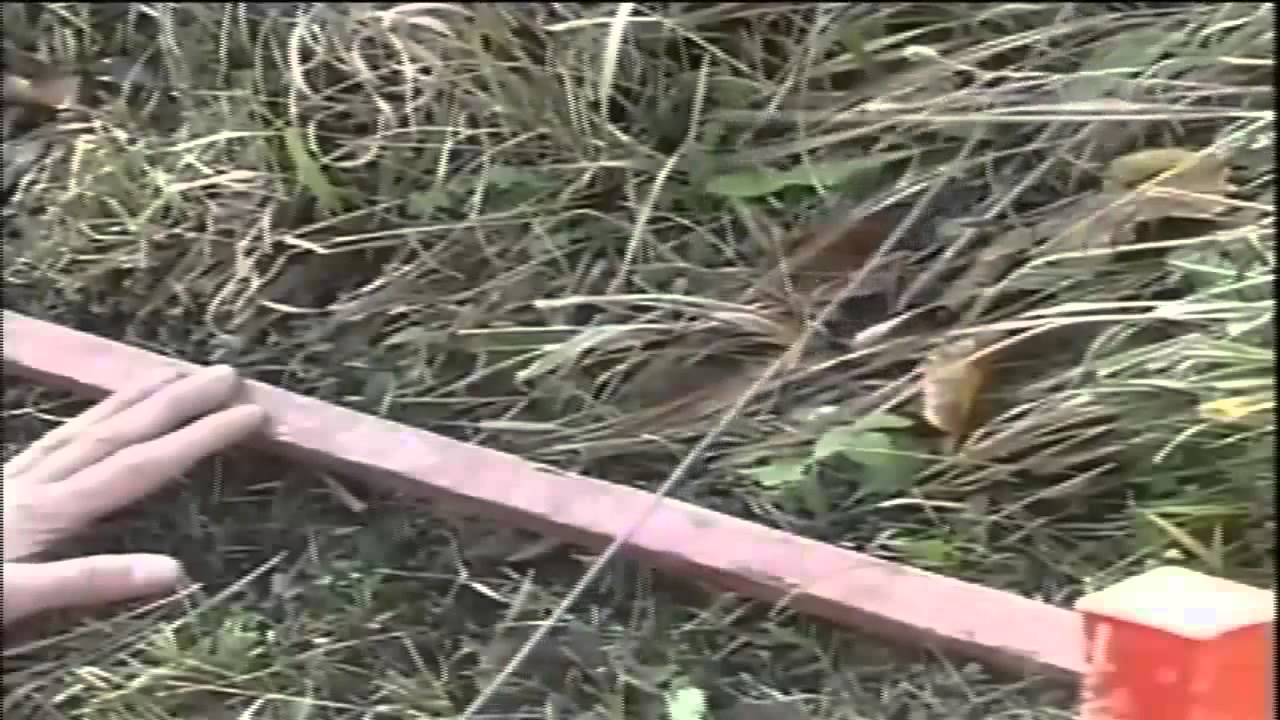 Minesweeper Documentary   Dangerous Missions   Military Documentary Film