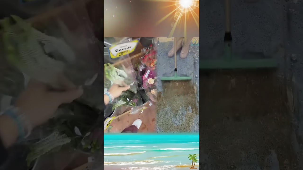 #pov