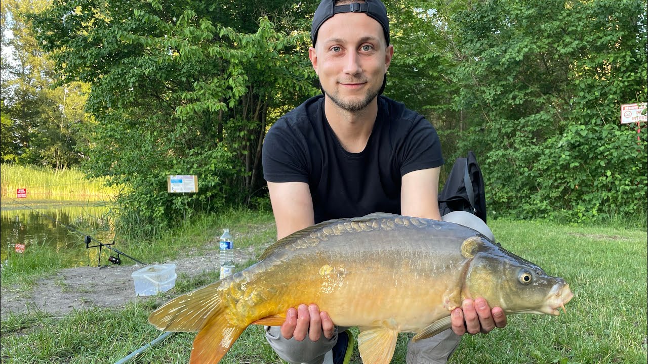 Eğlenceli bir sazan avı yem tanıtımı/a fun carp fishing bait presentation