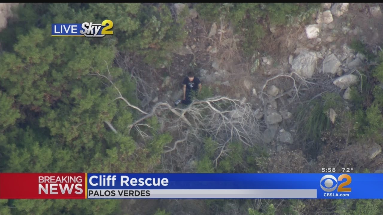 Fire Crews Rescue Person Trapped On Palos Verdes Cliff
