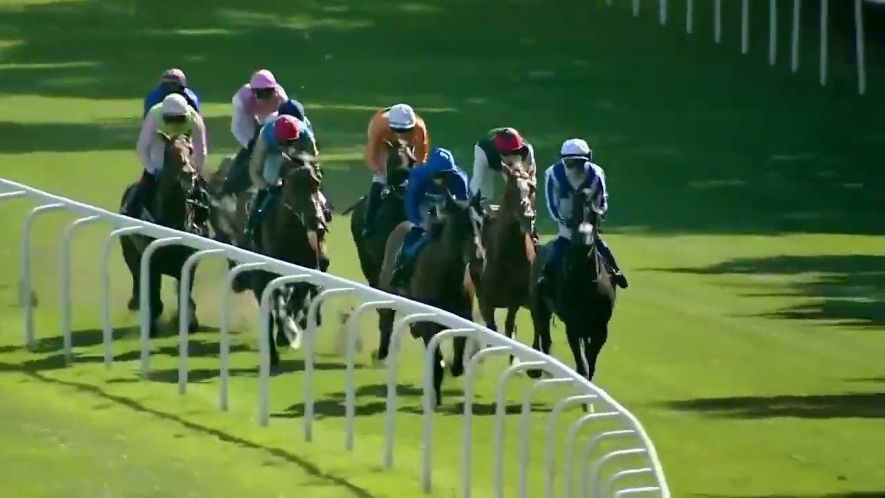 KYPRIOS - Ascot Gold Cup 2024 (4YO+ WFA G1) Group 1 Royal Ascot 20 June - Day 3