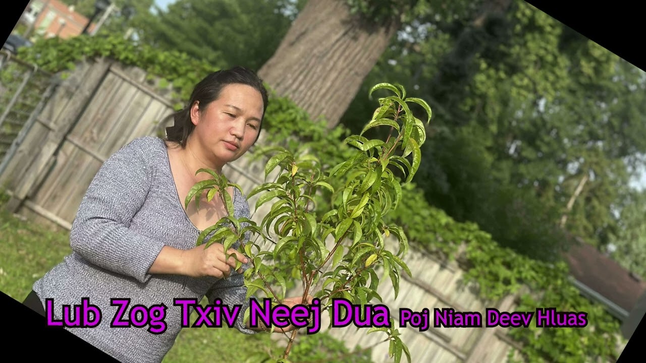 Lub Zog Txiv Neej Dua Poj Niam Deev Hluas  7/20/2025