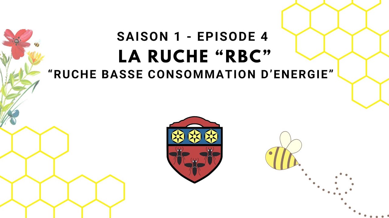 Au jardin des butineuses 🐝 [S0104] 🐝 La ruche RBC