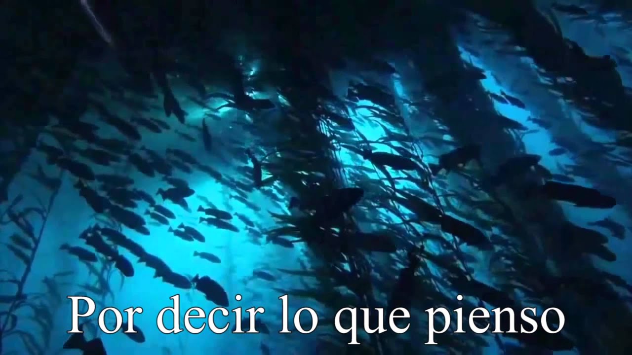 Pet Shop Boys - It Always Comes As A Surprise - Subtitulos en Español