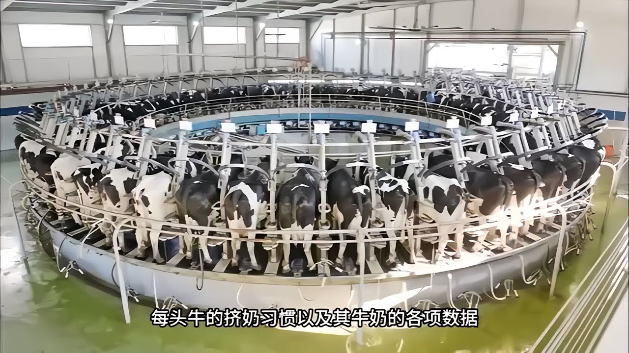 驚人真相！奶粉怎么做出來的？工廠里是什么樣的生產流程？ #制作 #生产 #工厂揭秘 #制造过程 #工业技术