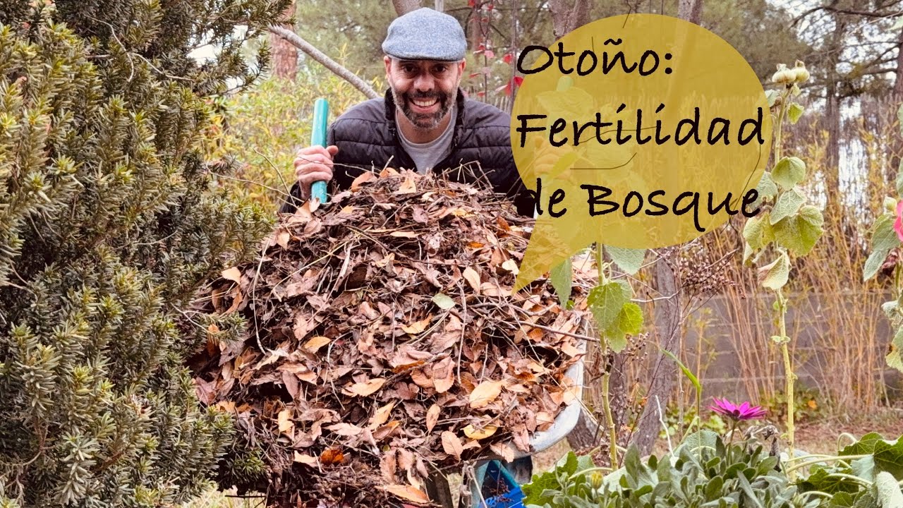 Otoño: Mantillo de Bosque. Fertilidad Ancestral para tu Huerto y Jardín. 