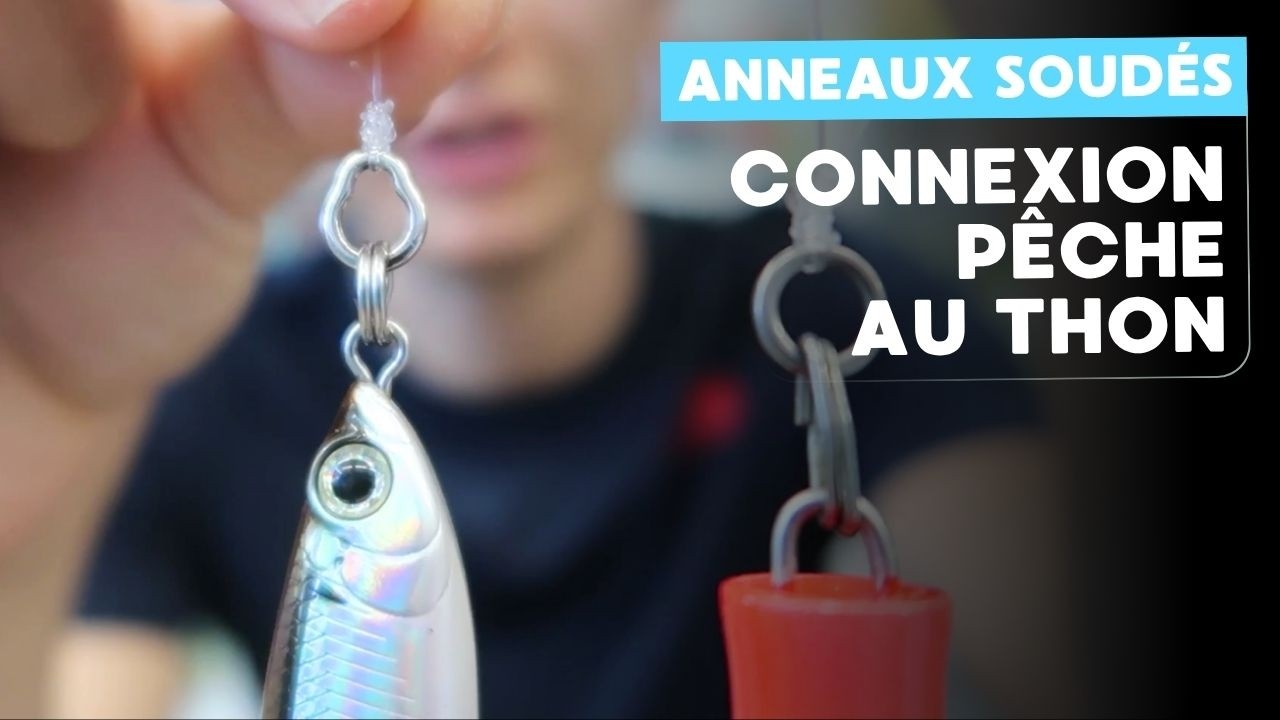 Connexion ultime pour pêcher le thon aux leurres