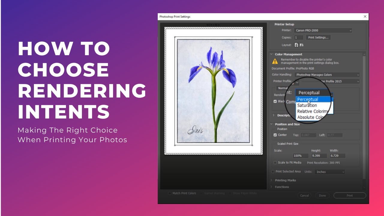 How To Choose The Best Rendering Intent When Printing Your Photographs Or Artwork