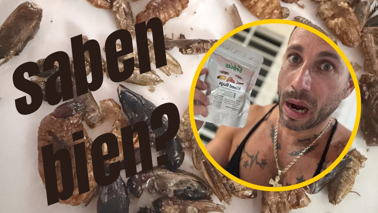 What people never tell you about eating bugs 