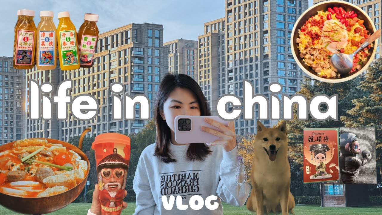 living in china | my daily life, chinese restaurants, livehouse, street food, shopping, pop mart