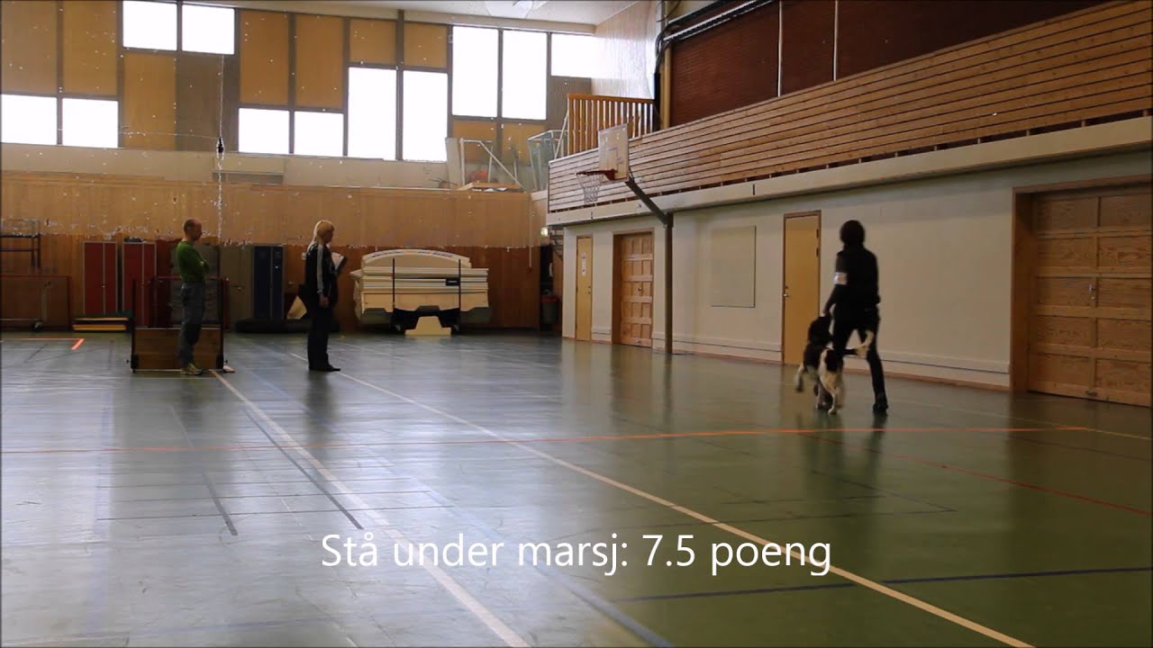 lydighet klasse 1