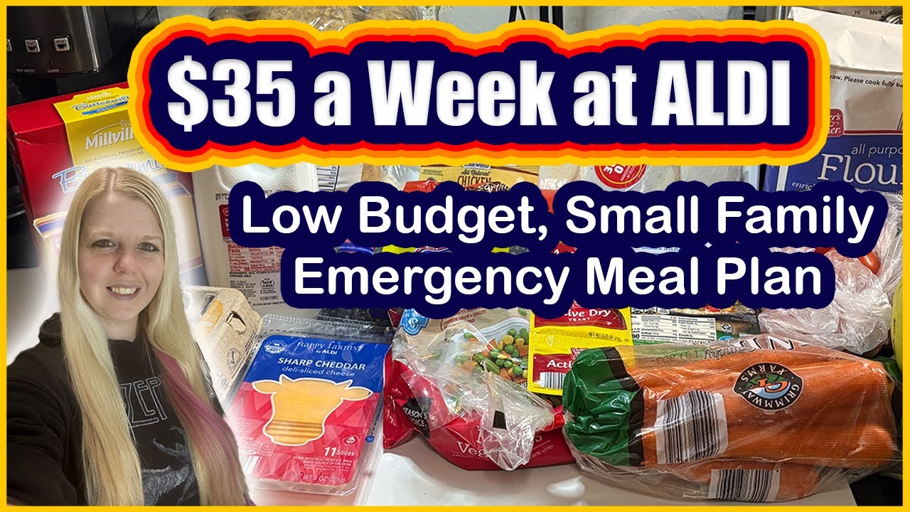 Feeding My Household For $35 a Week | Aldi Budget Meal Plan | Emergency Grocery Haul