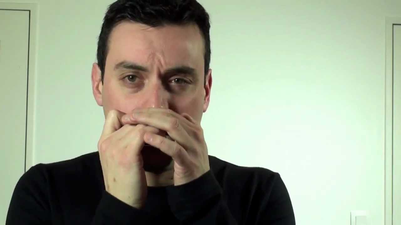 Flight of the Bumblebee video - Shred Harmonica - Overblows - David Herzhaft
