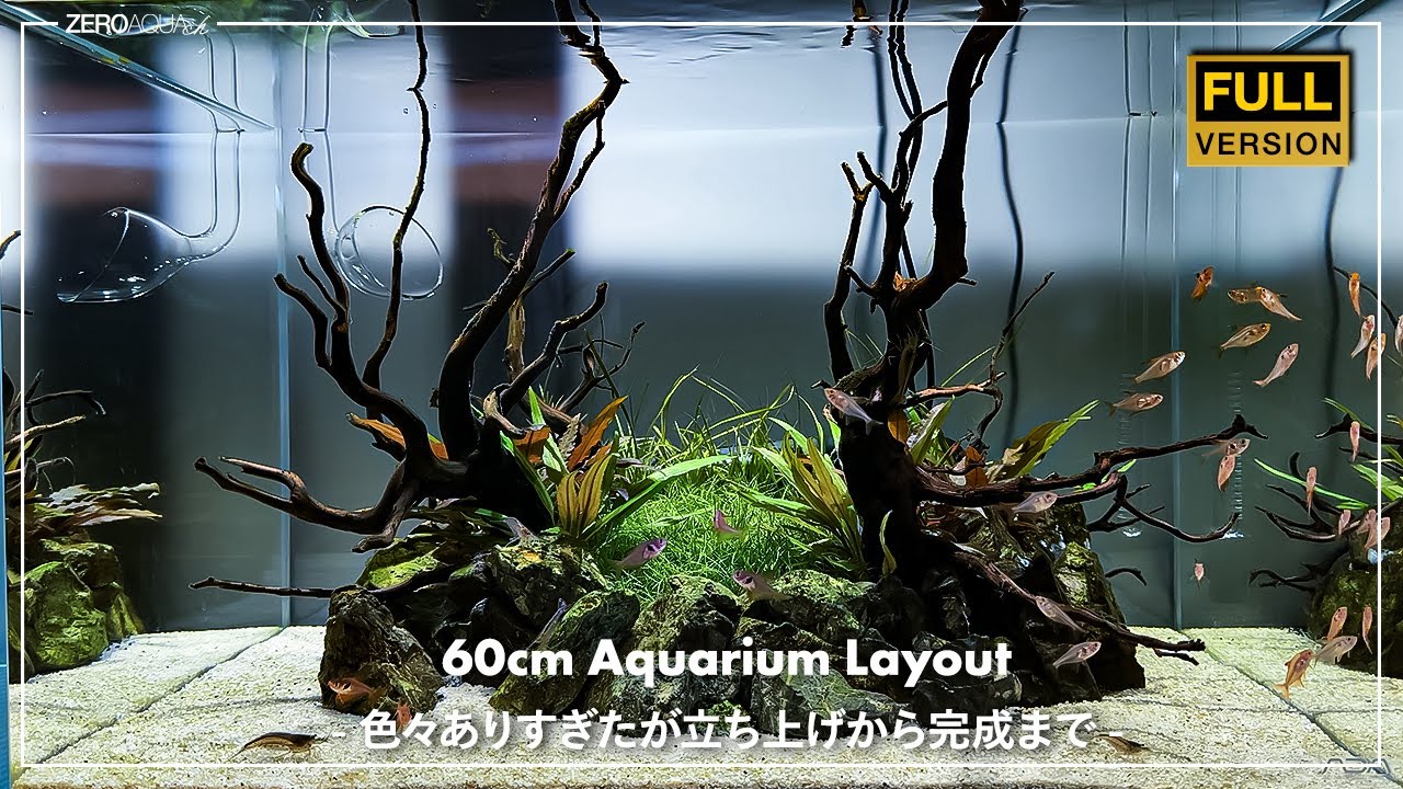60cm水槽[水中のオアシス]立ち上げから完成まで/aquascape/aquarium/60cm tank/vlog/