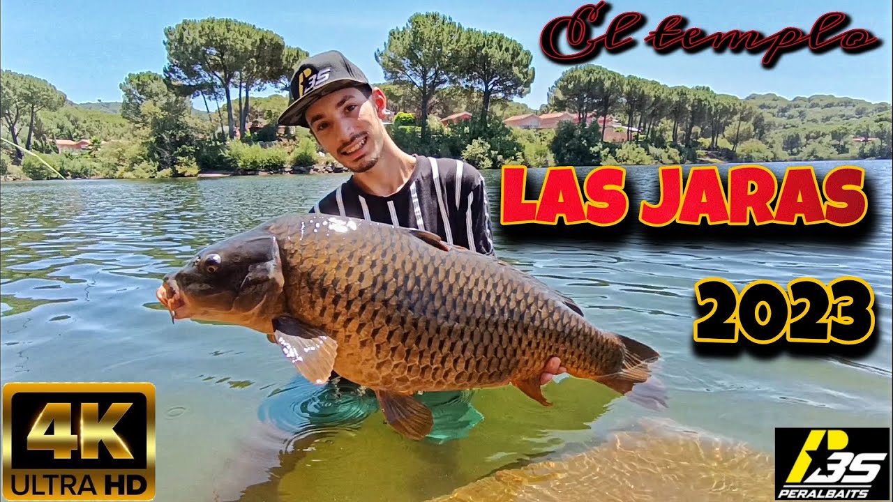 ``EL TEMPLO 4K´´ (CarpFishing Las Jaras 2023) #carpfishing #lasjaras #pesca