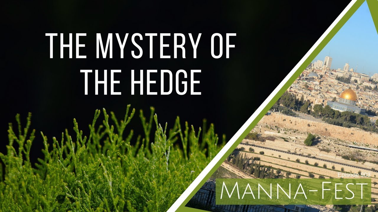 The Mystery of The Hedge | Episode 903