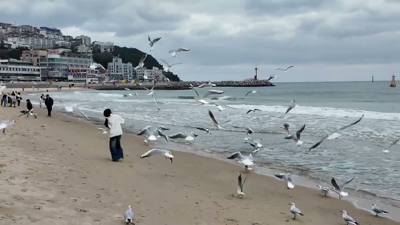 26.2.28.부산여행_갈매기소녀 승아