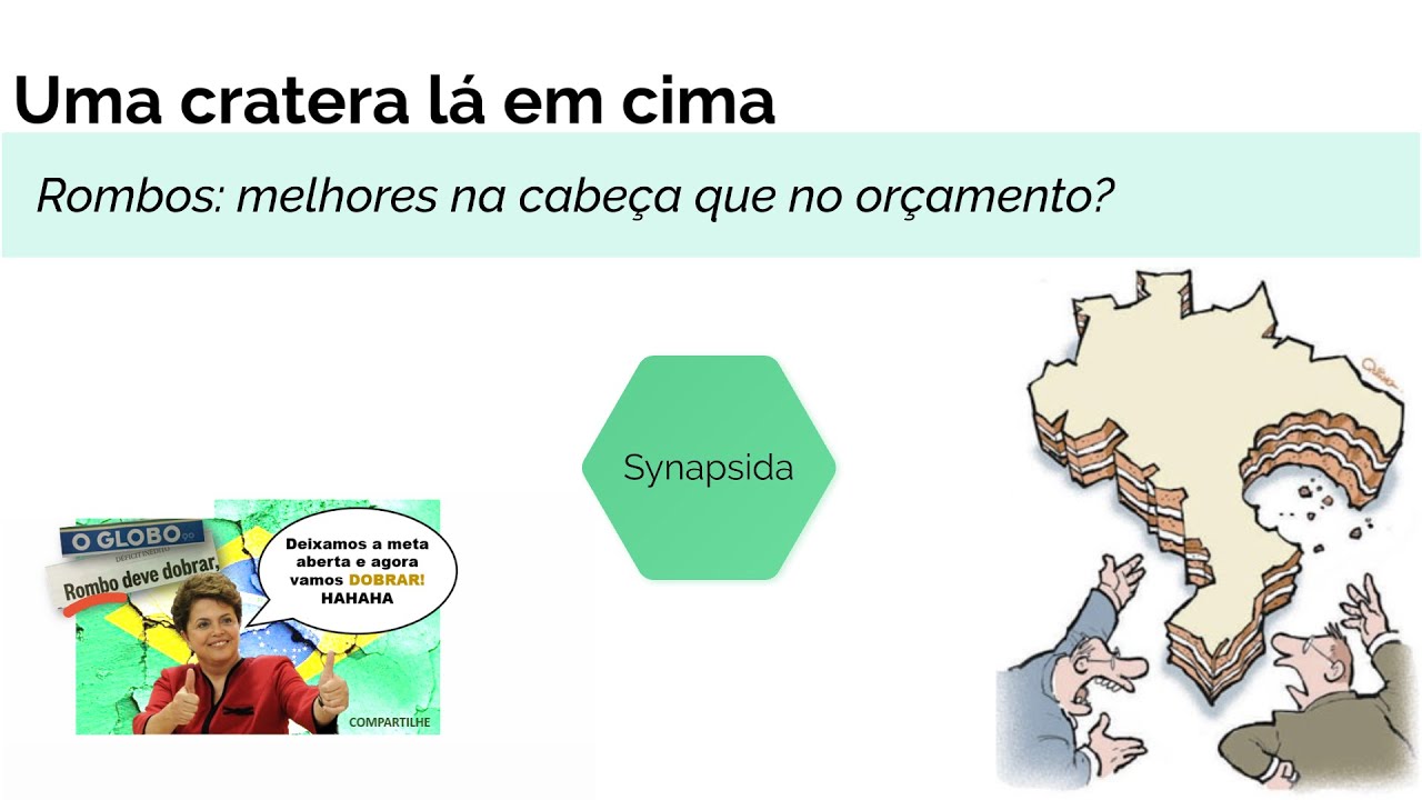 Synapsida: rombo craniano