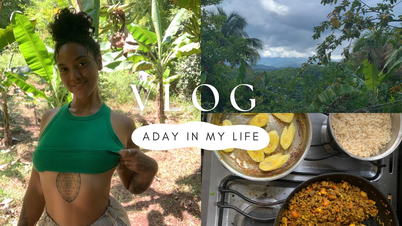 Day in the Life: Volunteering on a Farm in JAMAICA