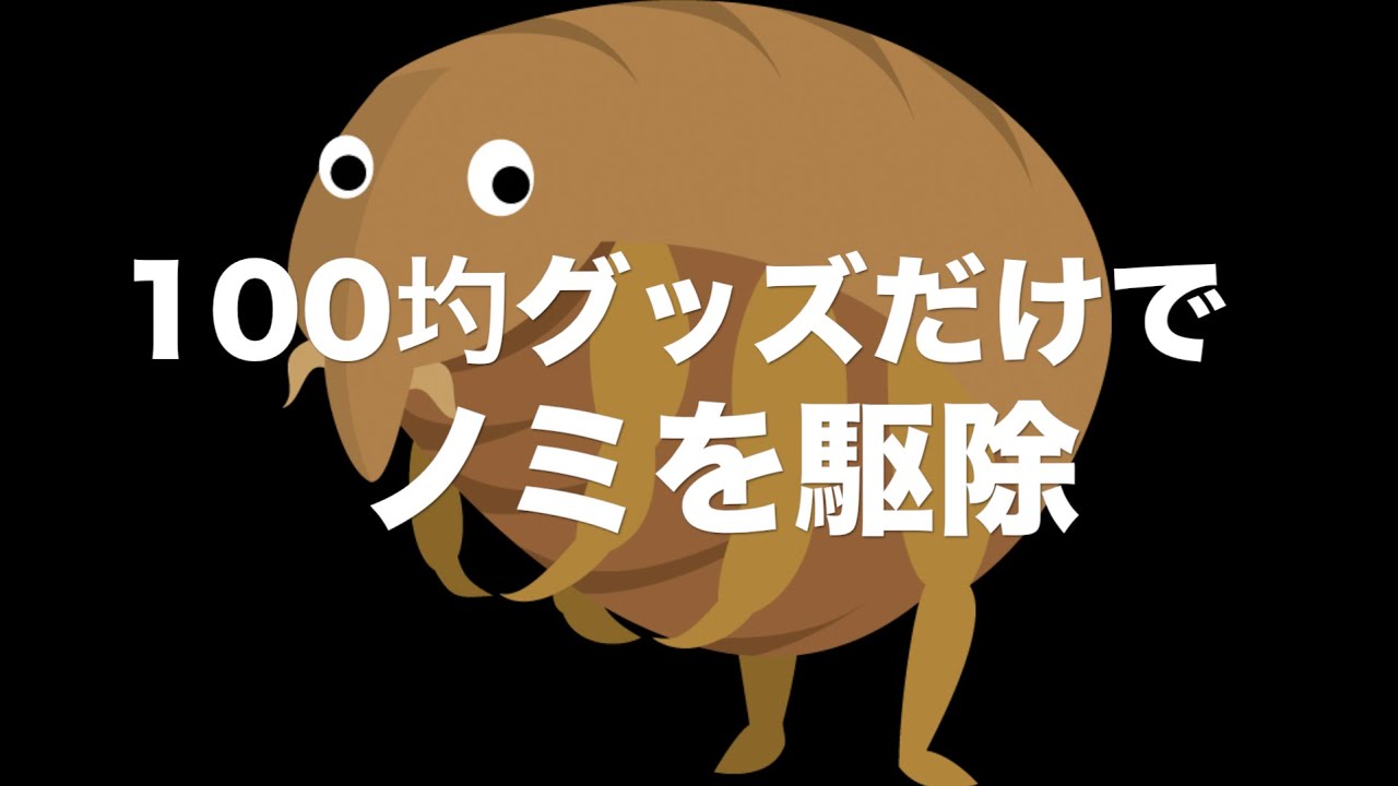 【 DIY 簡単ノミ駆除 】100均グッズだけで屋外のノミを簡単駆除